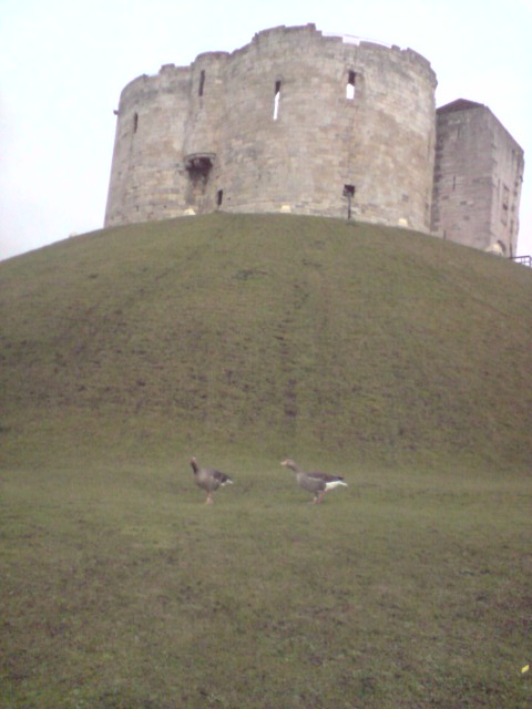 P120210_10.57